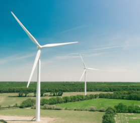 2019-07-Husum-Wind-407