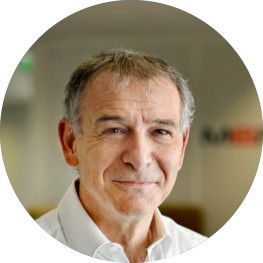Luc Themelin, 최고경영자